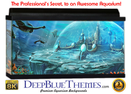 Buy Aquarium Background Awesome Atlantis Aquarium Background