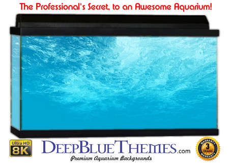 Buy Aquarium Background Awesome Blue Aquarium Background