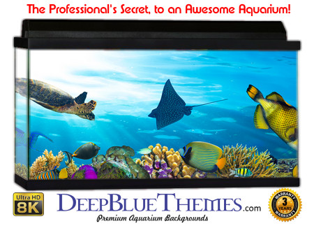 Buy Aquarium Background Awesome Creatures Aquarium Background