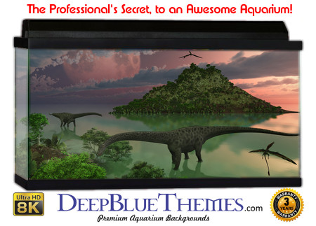 Buy Aquarium Background Awesome Dino Aquarium Background