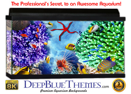 Buy Aquarium Background Awesome Ground Aquarium Background