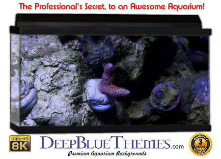 Buy Aquarium Background Awesome Rocklife Aquarium Background