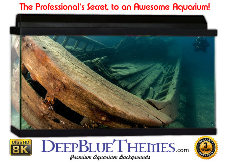 Buy Aquarium Background Awesome Shipwreck Aquarium Background