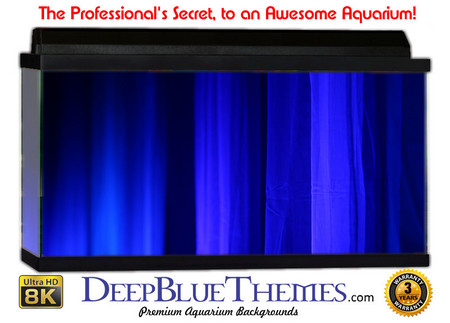 Buy Aquarium Background Blue Curtain Aquarium Background