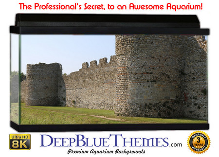 Buy Aquarium Background Castle Ruins Aquarium Background