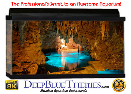 Buy Aquarium Background Cave Blue Aquarium Background
