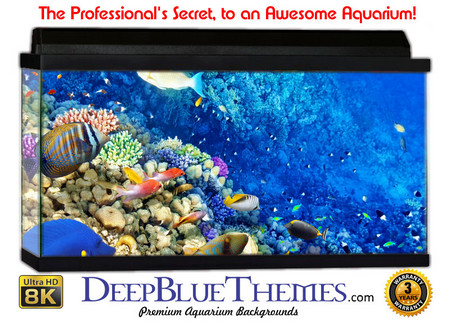 Buy Aquarium Background Classic Edge Aquarium Background