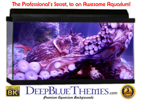 Buy Aquarium Background Classic Octopus Aquarium Background