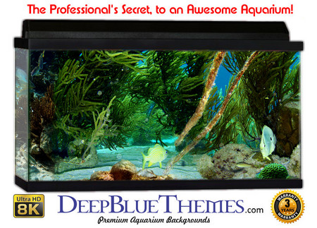 Buy Aquarium Background Classic Plants Aquarium Background