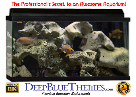Buy Aquarium Background Classic Stone Aquarium Background