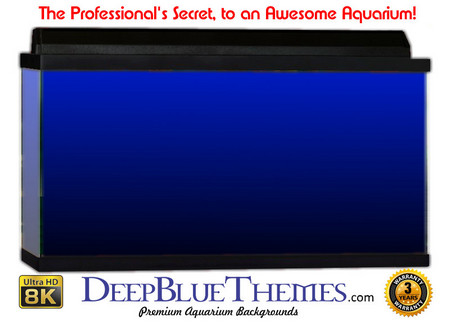 Buy Aquarium Background Colors Blue Ftbb Aquarium Background