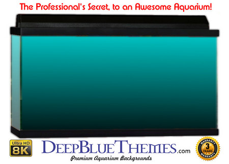Buy Aquarium Background Colors Lightblue Ftbb Aquarium Background