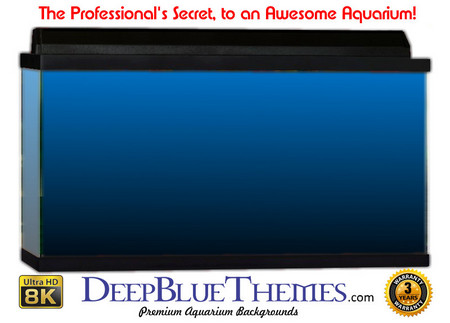 Buy Aquarium Background Colors Mediumblue Ftbb Aquarium Background