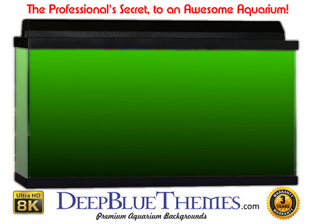 Buy Aquarium Background Colors Mediumgreen Ftbb Aquarium Background