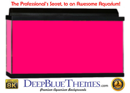 Buy Aquarium Background Colors Pink Aquarium Background