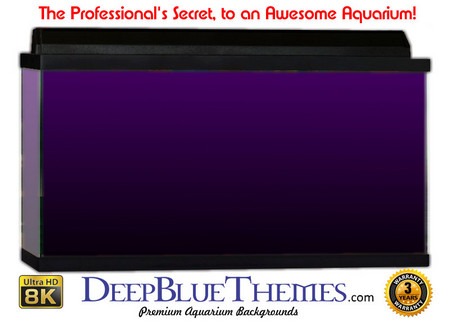 Buy Aquarium Background Colors Purple Ftbb Aquarium Background