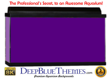 Buy Aquarium Background Colors Purple Aquarium Background