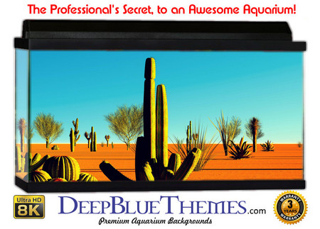 Buy Aquarium Background Desert Cactus Aquarium Background
