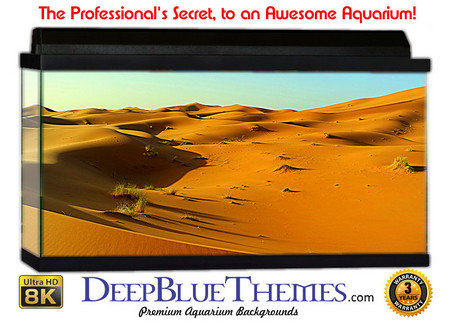 Buy Aquarium Background Desert Quilt Aquarium Background