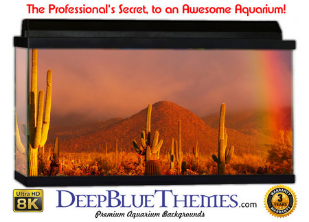 Buy Aquarium Background Desert Rainbow Aquarium Background