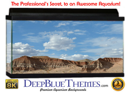 Buy Aquarium Background Desert Ridge Aquarium Background