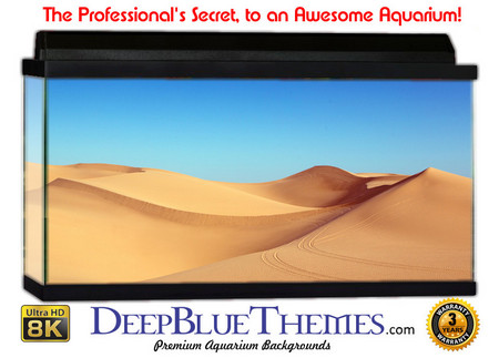 Buy Aquarium Background Desert Sands Aquarium Background