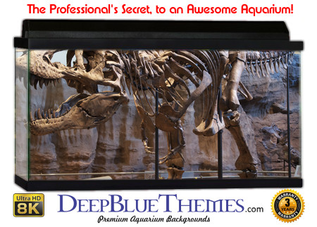 Buy Aquarium Background Dinosaur 0017 Aquarium Background
