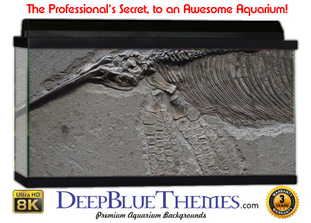 Buy Aquarium Background Dinosaur 0050 Aquarium Background