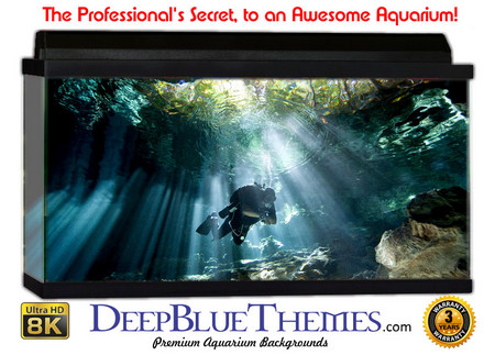 Buy Aquarium Background Divers Cave Aquarium Background