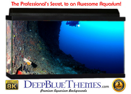 Buy Aquarium Background Divers Cross Aquarium Background