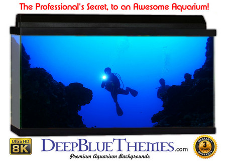 Buy Aquarium Background Divers Enter Aquarium Background