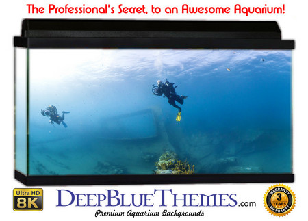 Buy Aquarium Background Divers Explore Aquarium Background