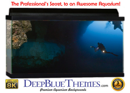 Buy Aquarium Background Divers Hole Aquarium Background