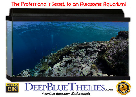 Buy Aquarium Background Divers Pan Aquarium Background