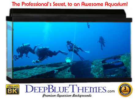 Buy Aquarium Background Divers Ship Aquarium Background