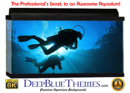 Buy Aquarium Background Divers Surface Aquarium Background