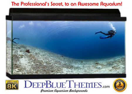 Buy Aquarium Background Divers Vast Aquarium Background