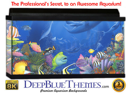 Buy Aquarium Background Favorite Child Aquarium Background