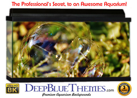 Buy Aquarium Background Grass Bubble Aquarium Background