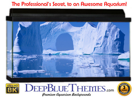 Buy Aquarium Background Ice Castle Aquarium Background