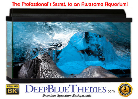 Buy Aquarium Background Ice Everywhere Aquarium Background