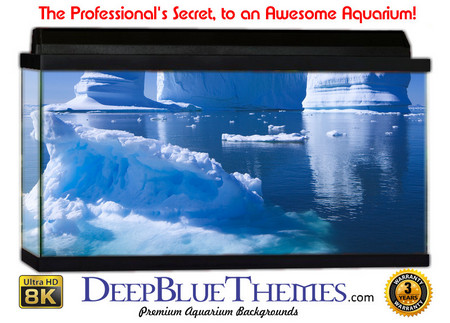 Buy Aquarium Background Ice Fortress Aquarium Background
