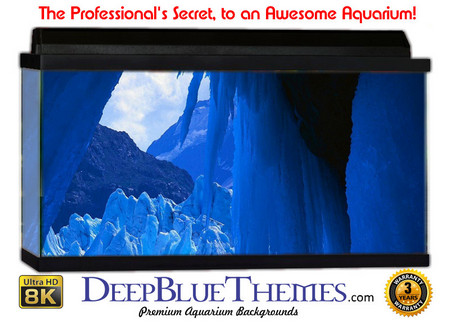 Buy Aquarium Background Ice Overhang Aquarium Background