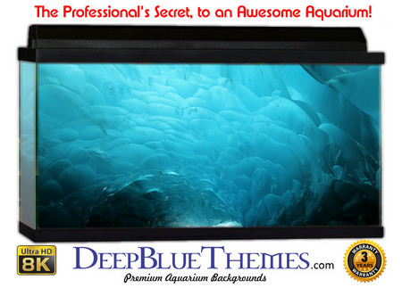 Buy Aquarium Background Ice Swirl Aquarium Background