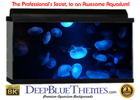 Buy Aquarium Background Marine Blue Aquarium Background