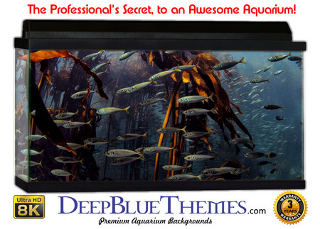 Buy Aquarium Background Marine Depth Aquarium Background
