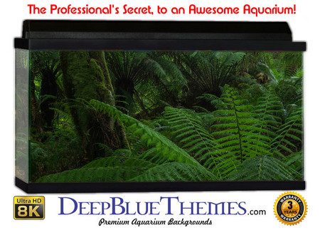Buy Aquarium Background Rainforest Deep Aquarium Background
