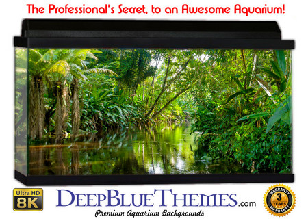 Buy Aquarium Background Rainforest Scene Aquarium Background