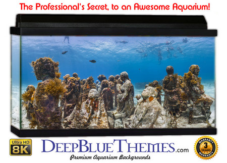 Buy Aquarium Background Reef Statues Aquarium Background