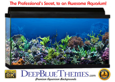 Buy Aquarium Background Reef Under Aquarium Background